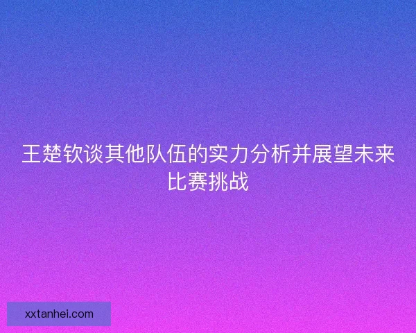 王楚钦谈其他队伍的实力分析并展望未来比赛挑战