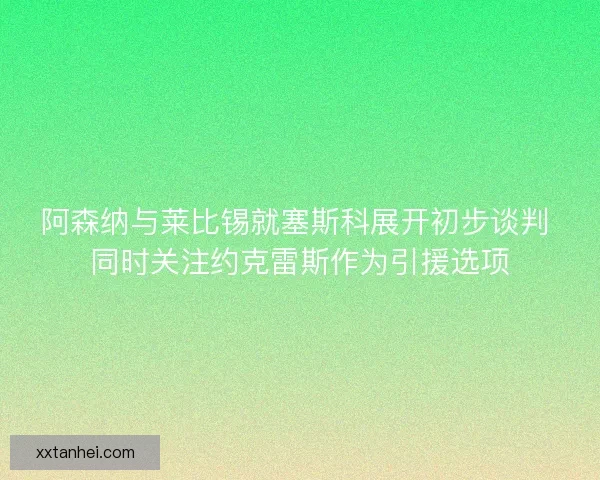 阿森纳与莱比锡就塞斯科展开初步谈判 同时关注约克雷斯作为引援选项 阿森纳与莱比锡就塞斯科展开初步谈判 同时关注约克雷斯作为引援选项