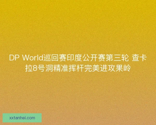 DP World巡回赛印度公开赛第三轮 查卡拉8号洞精准挥杆完美进攻果岭